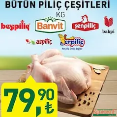 BÜTÜN PİLİÇ ÇEŞİTLERİ KG BÜTÜN PİLİÇ ÇEŞİTLERİ KG